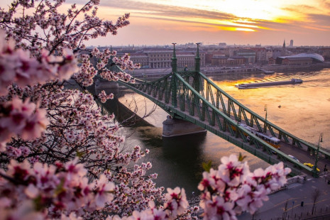 Фотообои весна в будапеште