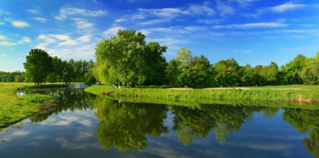 Фотошпалери дерева біля річки