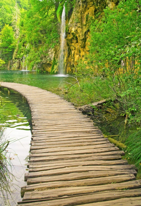 Фотошпалери Дерев'яний місток