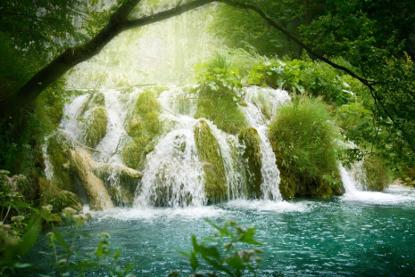 Фотообои водопад в лесу