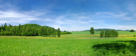 Фотошпалери Зелене поле