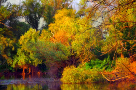 Фотошпалери дерева над водою