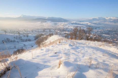 Фотошпалери Сад на узліссі