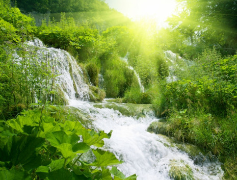 Фотошпалери водоспад в зеленому лісі