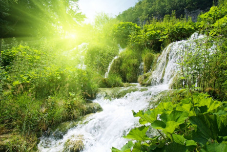 Фотошпалери водоспад в зеленому лісі